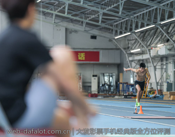 大发彩票手机经典版全方位评测
